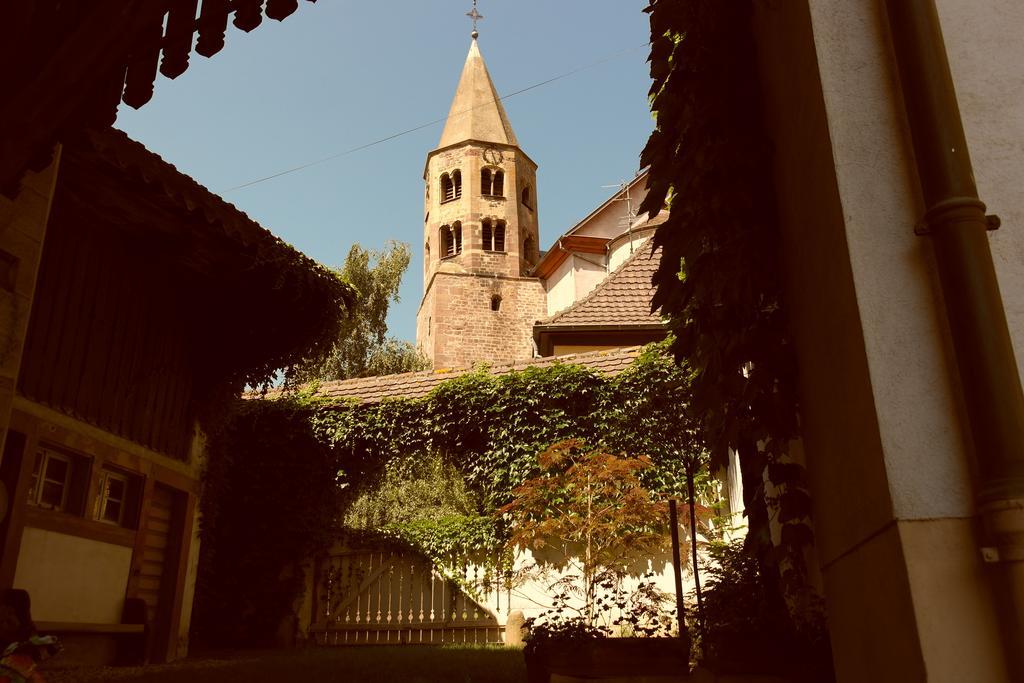 La Vieille Vigne Bed & Breakfast Gundolsheim Exterior photo